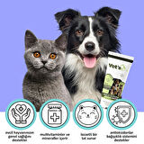 Multi Vitamin Paste Kedi Ve Köpekler Için Vitamin Desteği Pasta 100g