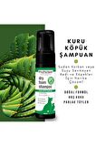 Kedi Köpek Kuru Köpük Şampuan 200 Ml Aloe Vera Özlü