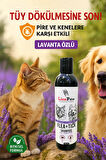 Kedi ve Köpek Tüy Dökümü Önleyici Bit Pire Parazit Kene Şampuanı 250 ML
