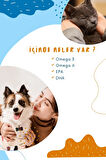 Fish Oil - Kedi ve Köpekler İçin Omega 3 ve Omega 6 Balık Yağı Bağışıklık Sistemi 200 ML