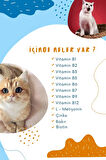 Kediler İçin Plus B Damla 50ml (KEDİLER İÇİN TÜY DÖKÜLMESİ ENGELLEYİCİ BİOTİN TÜY SAĞLIĞI DAMLASI)