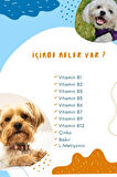Köpekler Için Tüy Sağlığı Damlası - Plus B - Köpek Tüy Dökülmesini Engelleyici Biotin Damla