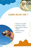 Kedi ve Köpeklerde Eklem Sağlığı Destekleyici Glukozamin Tablet Glukozamin MSM Chondroitin Move G