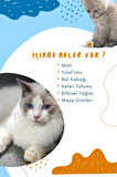 Kedi Tüy Yumağı Önleyici Malt - Kedi Tüy Sağlığı Destekleyici Ve Tüy Dökülmesi Önleyici Macun 100 ml