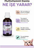 Vitpaw Tüy Yumağı ve Deri & Tüy Sağlığı Seti (Malt Paste ve B+ Complex)
