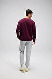 Ellesse Erkek Sweatshirt EM579-BRD