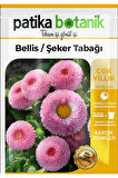 20 Adet Bellis - Şeker Tabağı Tohumu