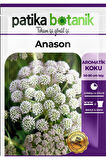 100 Adet Anason Tohumu