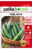 30 Adet Yeşil Acur Tohumu