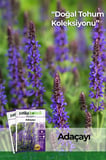 40 Adet Adaçayı (Salvia Officinalis) Çiçek Tohumu 