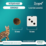 Zoey Somonlu Yetişkin Kedi Maması 15 KG