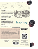 HapHug 10'lu Paket Dondurularak Kurutulmuş Böğürtlen 10x20g