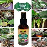 Dr.Worm Süs Bitkileri Mantar Koruyucu & Önleyici (Orkide, Çiçekli &Çiçeksiz, Kaktüs&Sukulent) 100 ML