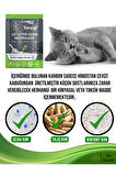 No Sweat Aktif Karbon Kedi Kumu Koku Giderici 5'lİ Paket 125 gr