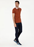 Cacharel Polo Yaka Düz Kiremit Erkek T-Shirt CHERRY
