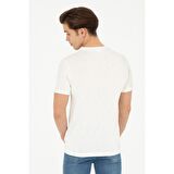 U.S. Polo Assn. Erkek T-shirt