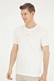 . Erkek Regular Tişört 50281052-VR019