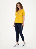 U.S. Polo Assn. Eşofman Alt, S, Lacivert
