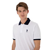 Erkek Regular Fit Polo Yaka Basic Tişört
