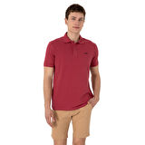 Erkek Regular Fit Polo Yaka Basic T-Shirt
