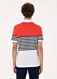 U.S. Polo Assn. Kırmızı Erkek Polo T-Shirt TAKEN