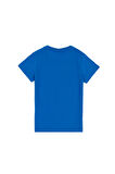 U.S. Polo Assn. Erkek Çocuk T-shirt 2104889
