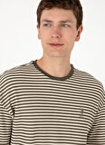 U.S. Polo Assn. Bisiklet Yaka Kahve Erkek T-Shirt CERT