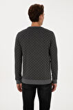 U.S. Polo Assn. Erkek Sweatshirt 2245989