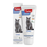 Biofeline Kedi Macunu Derma Paste 100 Gr - AROMASIZ