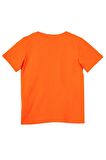 Erkek Çocuk Tshirt BNT-B21382