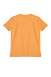 Erkek Çocuk Tshirt BNT-B21405