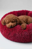 United Colors of Benetton BNTMKT-0012-RD Uzun Kürklü Donut Kedi&Köpek Yatağı Kırmızı 55 CM