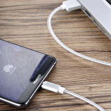 Benks D21 Magnetic Type-C USB Kablo 1.6A Mıknatıslı Şarj Kablosu 120 cm