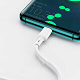 Benks D35 Type-C USB Kablo 5A Süper Hızlı Şarj Kablosu Qualcomm 3.0 480 Mbps 25 cm
