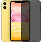 Go-Des iPhone 12 Go Des Hayalet Gizli Ekran Koruyucu