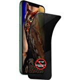 Go-Des iPhone 12 Go Des Hayalet Gizli Ekran Koruyucu