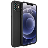 Apple iPhone 12 Mini Kılıf Benks Painting TPU Kapak