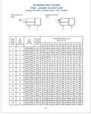 Q 16 - 75 MM PNÖMATİK ÇİFT ETKİLİ MANYETİK KALEM SİLİNDİR ( PİSTON )