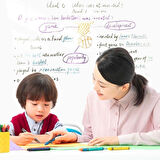 OLLEVRA Silinebilir Kalemli Sticker Duvara Yapışabilen Yazı Tahtası 60x100 cm