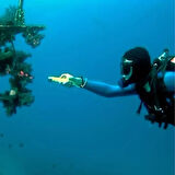 OLLEVRA Süper Parlak LED Su Altı Dalış Feneri – Taşınabilir Su Geçirmez ve Darbeye Dayanıklı El Feneri