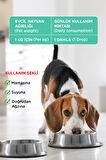 Köpekler için %100 Doğal Sakinleştirici Anti Stress Giderici Damla - İlaç Değildir 50 ml