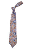 Erkek İthal Şal Desenli Kravat
