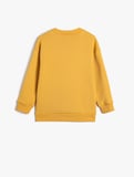 Basic Sweatshirt Uzun Kollu Bisiklet Yaka Şardonlu