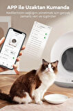 Akıllı Otomatik Kedi Tuvaleti