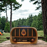 BUFFER® Orta Boy Retro, Nostaljik, Ahşap Tasarım Bluetooth Hoparlörlü, Şarjlı, Taşınabilir Oval Ön Y