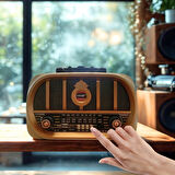 BUFFER® Orta Boy Retro, Nostaljik, Ahşap Tasarım Bluetooth Hoparlörlü, Şarjlı, Taşınabilir Oval Ön Y