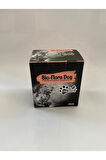 Bio-flora Dog Prebiotic & Probiotic 20 Adet * 2 G Toz