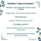 NPO Yogaroma Ferahlatıcı Aromaterapi 10mL Saf ve Doğal Okaliptus Uçucu Yağ