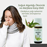 NPO Yogaroma Ferahlatıcı Aromaterapi 10mL Saf ve Doğal Okaliptus Uçucu Yağ
