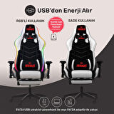 RaXius GC3001BW Masajlı,RGB,4D Kolçaklı,Ayak Destekli Oyuncu Koltuğu, Siyah- Beyaz